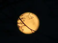 Mond 26.4..webp