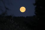 Mond 26.4. 5,36 Uhr.jpg