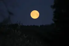 Mond 26.4. 5,36 Uhr.webp
