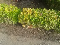 20130426_085820.webp