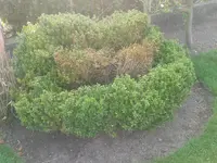 20130426_085754.webp