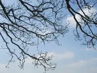002.webp