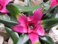 003.webp