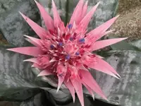 006.webp