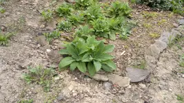 2013-04-26-1112.webp