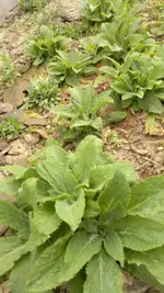 2013-04-26-1114.webp