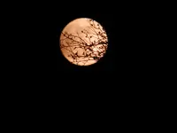 Vollmond_2561.webp