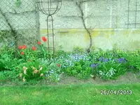 Blumen.webp