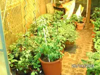 GWH links.webp