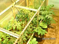 BILD2968.webp