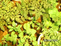 BILD2972.webp