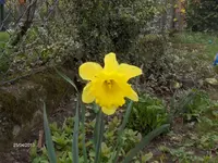 HPIM9419.webp