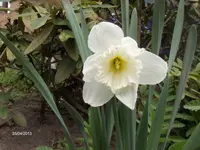 HPIM9426.webp
