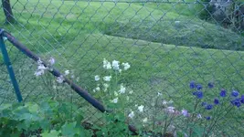 DSC01303.webp