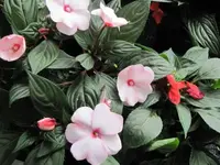 025.webp