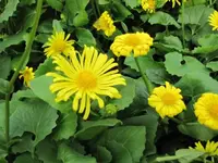 062.webp