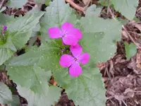 DSCN1897.webp