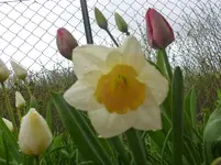 P1050443.webp