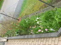 P1050440.webp