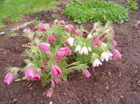 011.webp