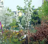 DSC_4325.2.webp