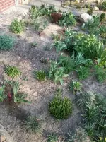 NeuesBeet25_4_13.webp