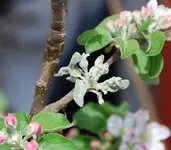 DSC_4478.3.webp