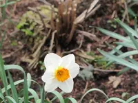 016.webp
