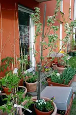 DSC_4351.2.webp