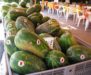 melonenmarkt.webp