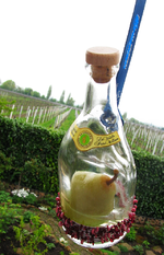 birne_.webp