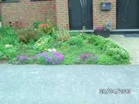 Vorgarten.webp