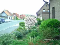 Blumen (2).webp