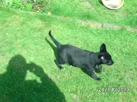 BILD3001.webp