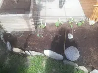 20130428_144300.webp