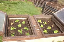 Garten 04 2013 040.webp