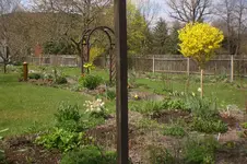 Garten 04 2013 048.webp