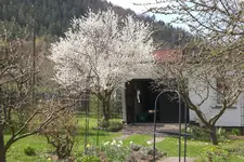 Garten 04 2013 053.webp
