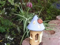 Schachbrettblume 28.4.2013.webp