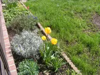 Vorgarten 28.4.2013.webp