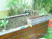 BILD3010.webp