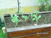BILD3011.webp