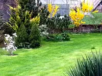 20130428_Westflanke in Grün.webp