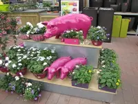 032.webp