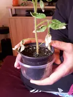 20130428_191239.webp