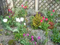 DSCN1932.webp