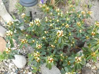 DSCN1934.webp