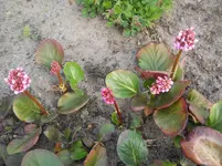 DSCN1940.webp