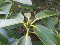20130424_082633.webp
