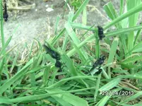 BILD3017.webp
